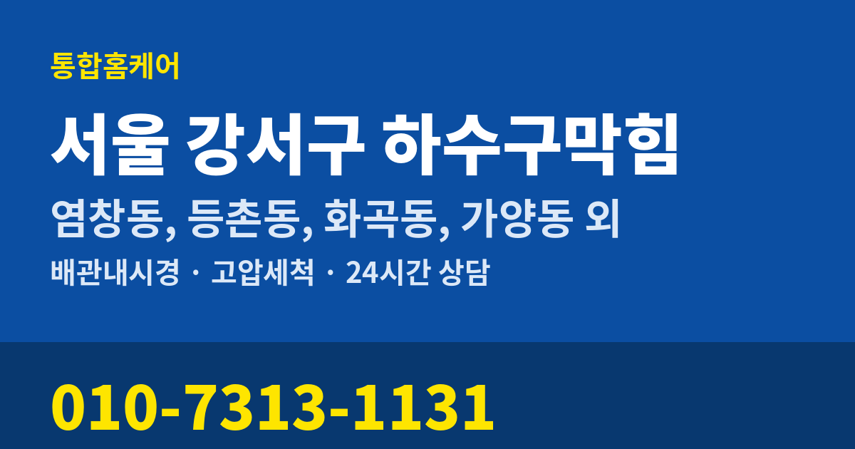 서울 강서구 하수구막힘 통합홈케어 010-7313-1131